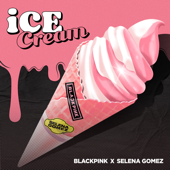 BLACKPINK & Selena Gomez