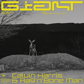 Calvin Harris, Ragâ€™nâ€™Bone Man