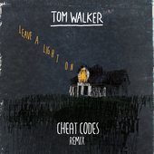 Tom Walker & Cheat Codes