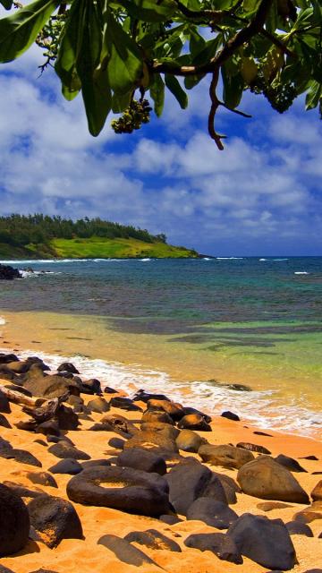 Beach Shade Hawaii Wallpapers Wallpaper