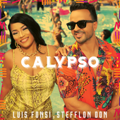 Luis Fonsi & Stefflon Don