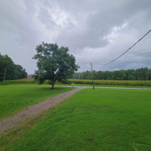 Oliver Anthony Music