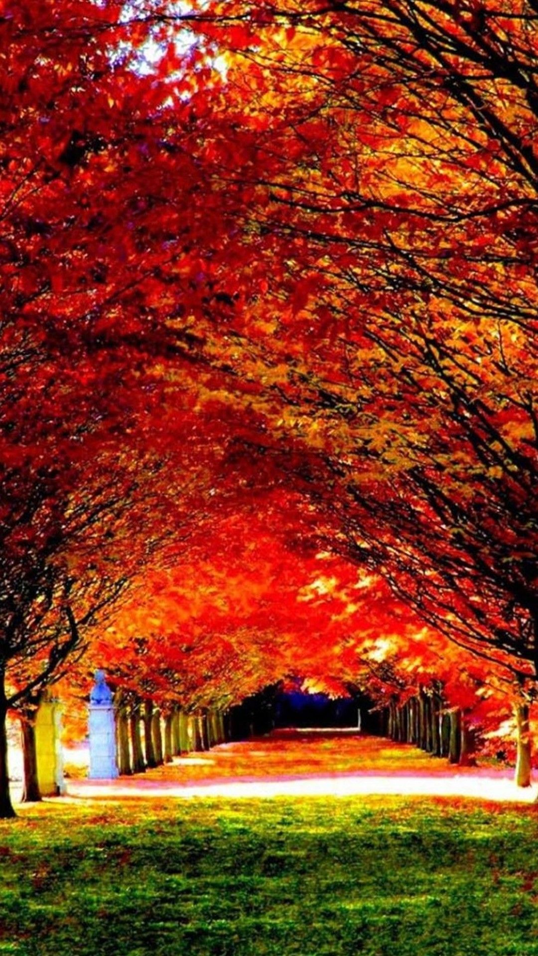 Golden Tree Leaves Wallpaper