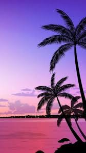 Beach Sunset Wallpaper Wallpaper