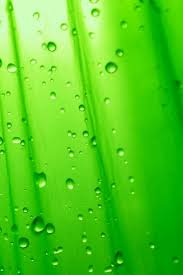 Iphone5 Green Bubble1 Wallpaper